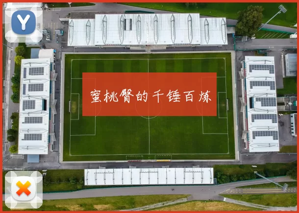 蜜桃臀的千锤百炼