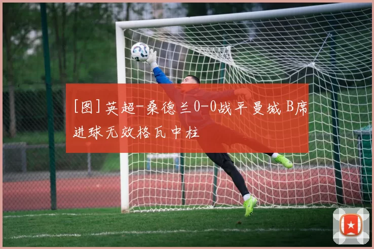 [图]英超-桑德兰0-0战平曼城 B席进球无效格瓦中柱