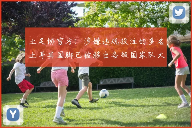 土足协官方：涉嫌违规投注的多名土耳其国脚已被移出各级国家队大名单