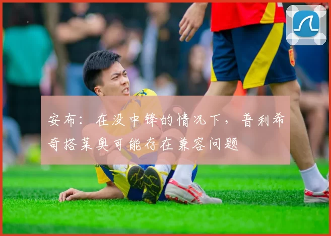 安布：在没中锋的情况下，普利希奇搭莱奥可能存在兼容问题