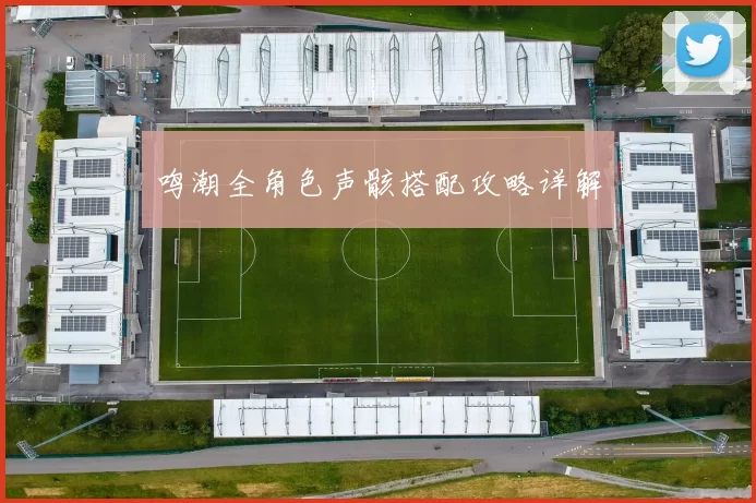 鸣潮全角色声骸搭配攻略详解