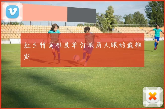 杜兰特高难度单打浓眉大眼的戴维斯