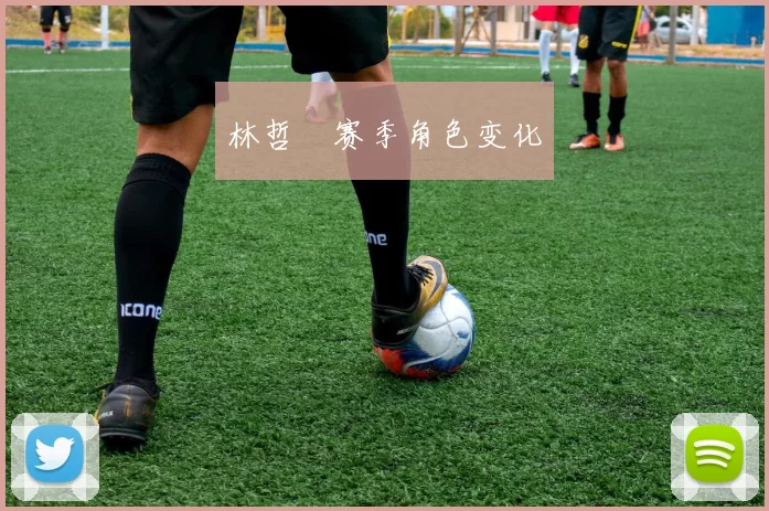 林哲瑄赛季角色变化