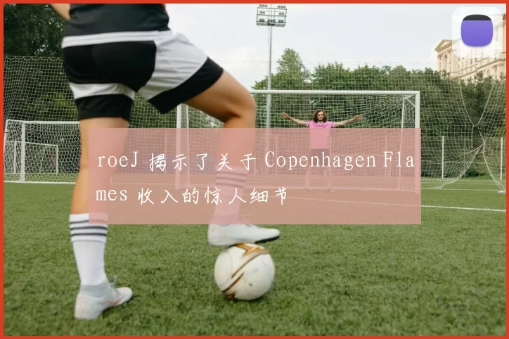 roeJ 揭示了关于 Copenhagen Flames 收入的惊人细节