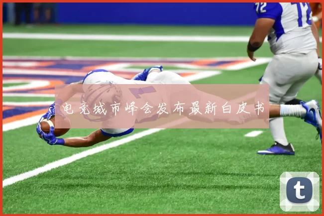 电竞城市峰会发布最新白皮书