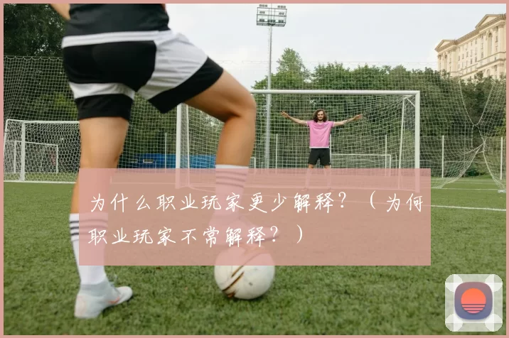 为什么职业玩家更少解释？（为何职业玩家不常解释？）
