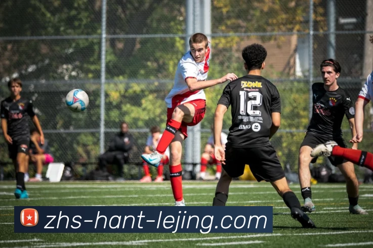 乐竟体育平台生态图